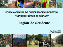Región de Occidente - Agenda Forestal Hondureña