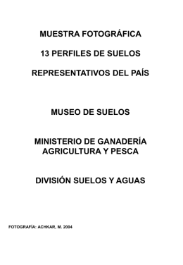 Ejemplos Suelos del Uruguay