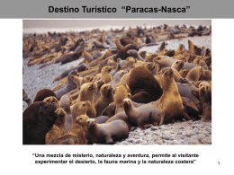 Destino Turístico Paracas Nasca