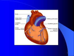 Électrophysiologie cardiaque
