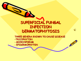 superficial fungal infection dermatophytosis