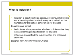 What is inclusion?