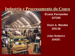 Industria e Processamento do Couro