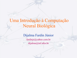 Media:Comp-neural-biologica