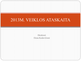 2013 metų veiklos plano įgyvendinimo ataskaita