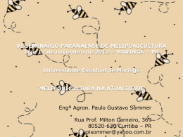 Palestra Paulo Sommer - Melipo6
