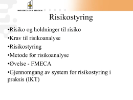 3.6. Systematisk risikostyring