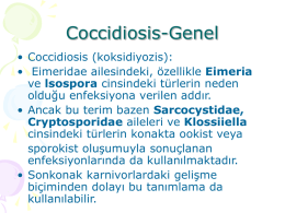 Coccidiosis genel