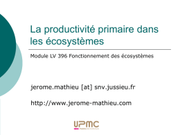 La productivité primaire dans les écosystèmes
