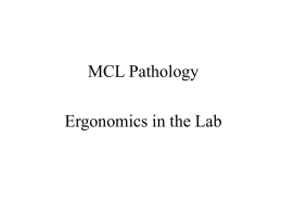 Ergonomics in Lab