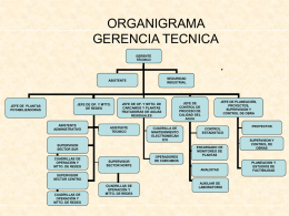 ORGANIGRAMA GERENCIA TECNICA