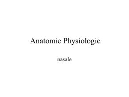 Physiologie des fosses nasales