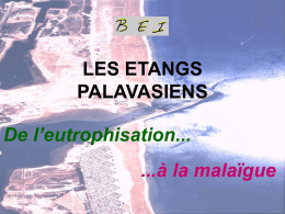 LES ETANGS PALAVASIENS De l`eutrophisation &agrave; la mala&iuml;gue