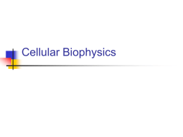 Cellular Biophysics