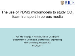 Micromodels for Foam in Porous Media