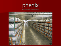 Phenix Powerpoint Presentation