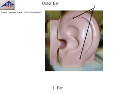 3. ear
