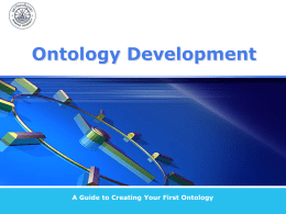 What is in an ontology?