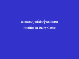 ความสมบูรณ์พันธุ์ของโคนม Fertility in Dairy Cattle