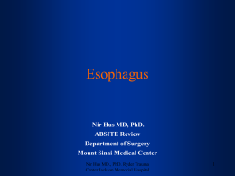 Nir_Hus_s_ABSITE_REVIEW_files/Esophageal review 1