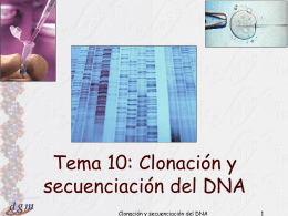Tema 10: Clonación y secuención del DNA