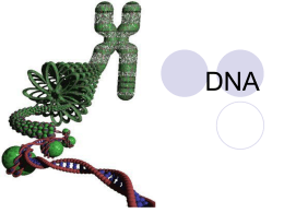 PowerPoint Bas 2 en 3: DNA