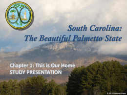 Power Point Presentation
