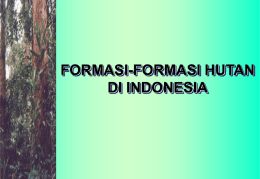 10.Formasi hutan Indonesia