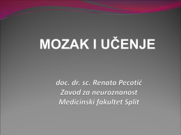 doc. dr. sc. Renata Pecotić Zavod za neuroznanost Medicinski