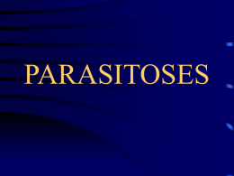 parasitoses intestinales