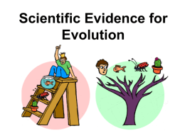 Scientific Evidence for Evolution