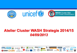 atelier_cluster_wash_strategie_pour_2014_v7