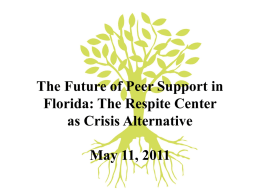 The Future of Peer Support in Florida