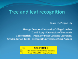 Tree and leaf recognition