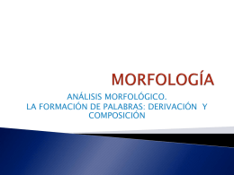 MORFOLOGÍA - lclcarmen3