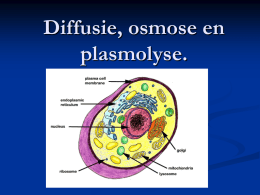 Les 5 Diffusie, osmose en plasmolyse