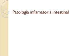 Patología inflamatoria intestinal