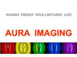 CHAKRAS REPORT - Aura, Aura Scanning, Energy Scanning.