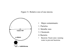 Figure 5.1 Relative size of one micron.