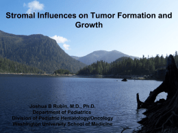 Stromal Influences on Tumor Formation and Growth