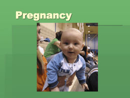 Pregnancy Powerpoint Presentation
