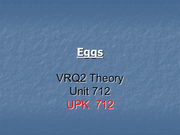 VRQ Level 2 Eggs