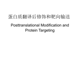 蛋白质翻译后修饰和靶向输送