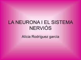 LA NEURONA I EL SISTEMA NERVIÓS