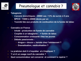 cannabisurban20final1
