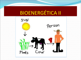 bioenergetica 2- 2013-i