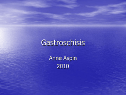 Gastroschisis - the Yorkshire Neonatal Network