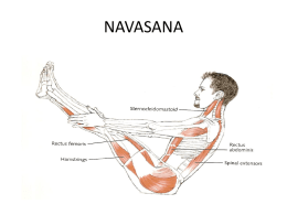 natomía muscular y asanas 2