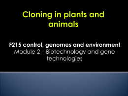 cloning plants and animals