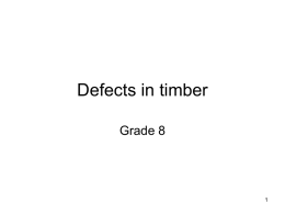 Defects in timber - Industrial Techniques grade 8